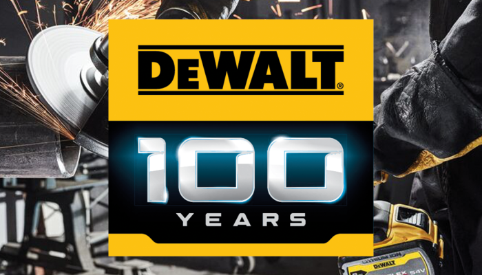 DeWalt 100 - catalogo 2024