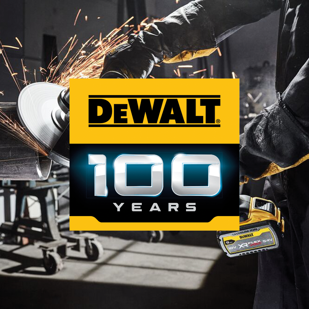 DeWalt 100 - catalogo 2024